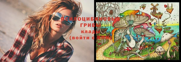 твердый Елабуга