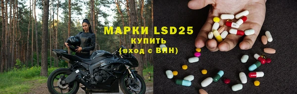 стафф Липки