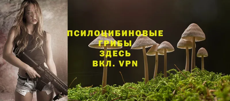 hydra как войти  купить наркотики цена  Енисейск  Псилоцибиновые грибы MAGIC MUSHROOMS 